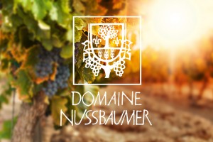 domaine-nussbaumer-kuck-uck.de